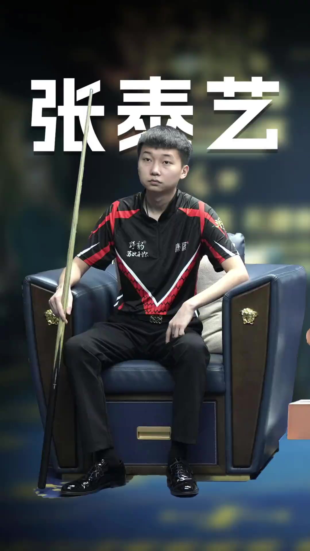 场就展现了 场就展现了