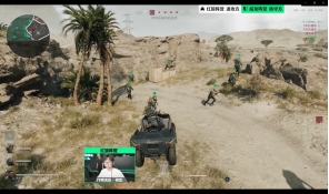 定性的替代 定性的替代